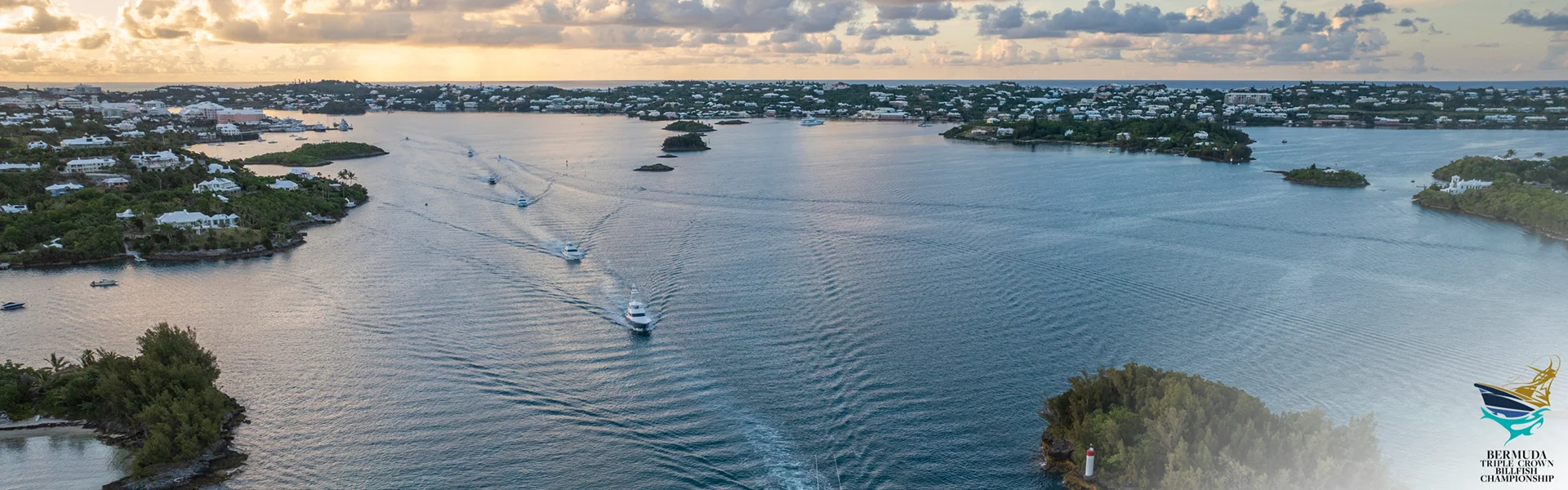 2026 Bermuda Triple Crown Live Scoring by CatchStat.com