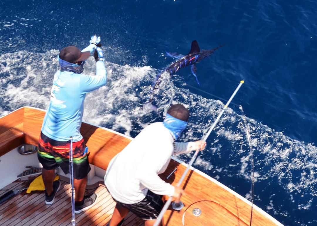 Reel Quest image 2