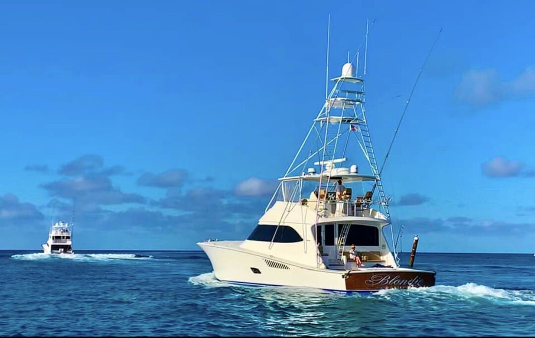 CatchStat | Blondie/ Five Seas  Vessel Image