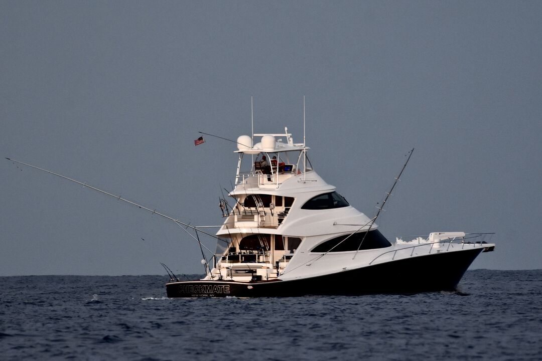 CatchStat | Checkmate Vessel Image
