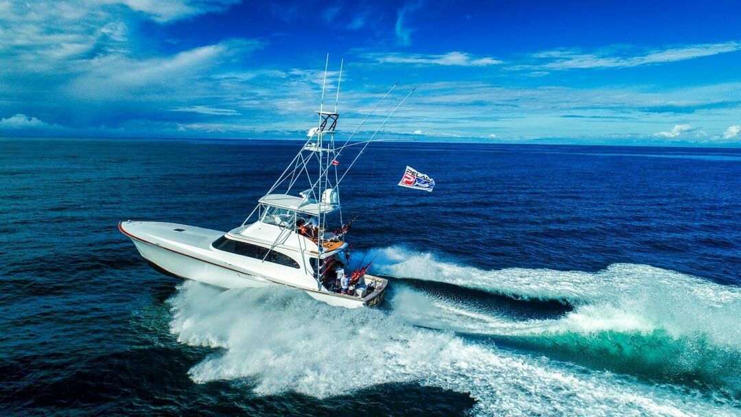 CatchStat | PELAGIC Vessel Image