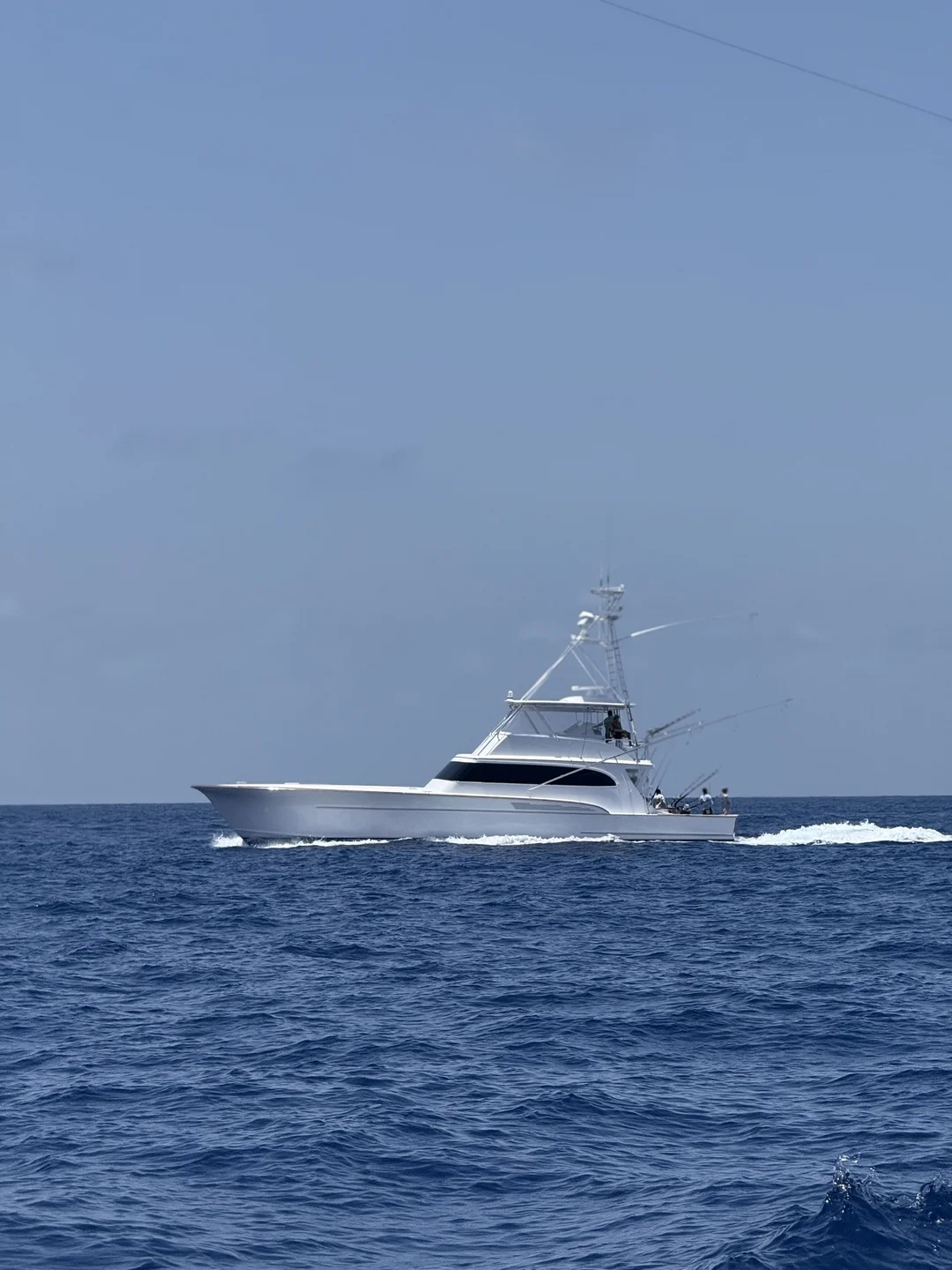 Blue Marlin Grand Championship